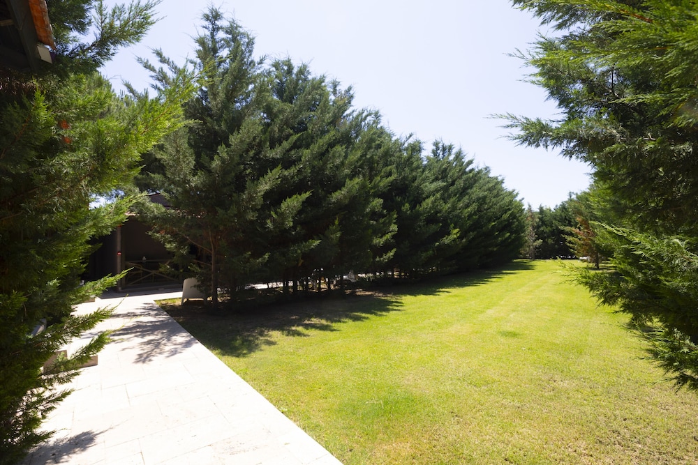 AEGEAN Apartments - Bungalows