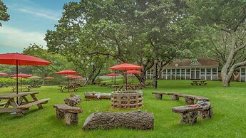 Ruschmeyers #17 - Dlx King