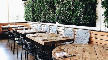 Ruschmeyers #17 - Dlx King