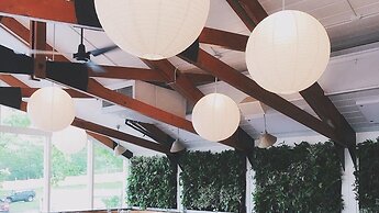 Ruschmeyers #17 - Dlx King