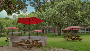 Ruschmeyers #17 - Dlx King