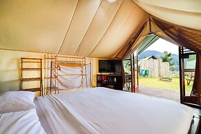 Alinson Sunset Hill By Zuzu