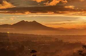 Alinson Sunset Hill By Zuzu