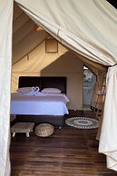 Alinson Sunset Hill By Zuzu