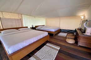 Alinson Sunset Hill By Zuzu