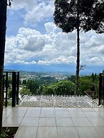 Alinson Sunset Hill By Zuzu