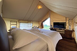 Alinson Sunset Hill By Zuzu