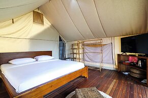 Alinson Sunset Hill By Zuzu