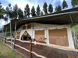 Alinson Sunset Hill By Zuzu