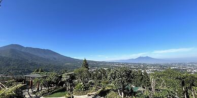 Alinson Sunset Hill By Zuzu