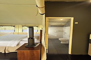 Alinson Sunset Hill By Zuzu