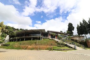 Alinson Sunset Hill By Zuzu