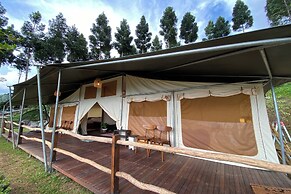 Alinson Sunset Hill By Zuzu