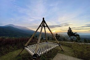 Alinson Sunset Hill By Zuzu