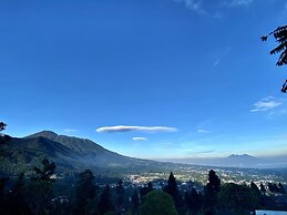 Alinson Sunset Hill By Zuzu