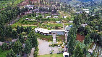 Alinson Sunset Hill By Zuzu