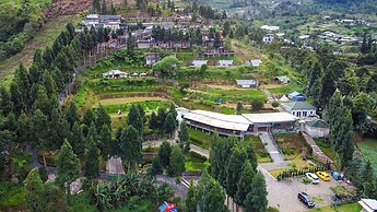 Alinson Sunset Hill By Zuzu