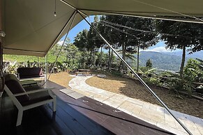 Alinson Sunset Hill By Zuzu