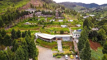 Alinson Sunset Hill By Zuzu