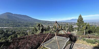 Alinson Sunset Hill By Zuzu