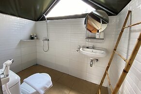 Alinson Sunset Hill By Zuzu