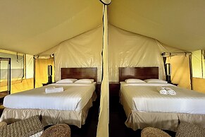 Alinson Sunset Hill By Zuzu