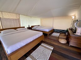 Alinson Sunset Hill By Zuzu