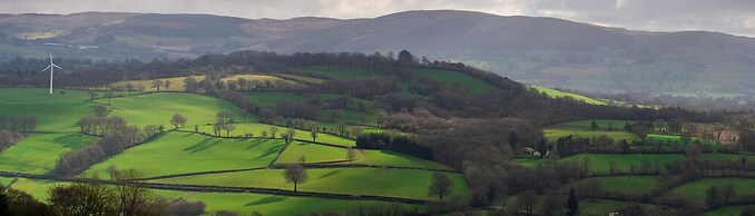 Woodpecker Pod With Views