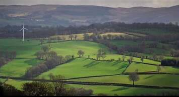 Woodpecker Pod With Views