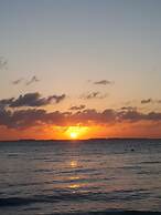 Casa del Jaguar Beach Hotel