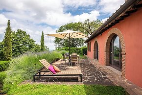 Superior Apartment With Terrace