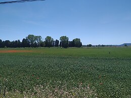 Kiskas Loft Comfort Nature