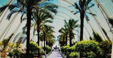 Duplex Near Center Wifi