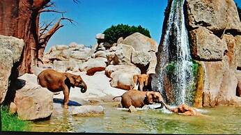 Duplex Near Center Wifi