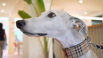 WOT Lisbon Nomad - Hostel