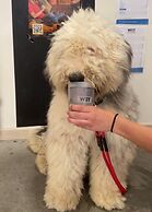 WOT Lisbon Nomad - Hostel