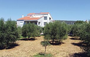 Amazing Home in Bibinje With Wifi and 1 Bedrooms