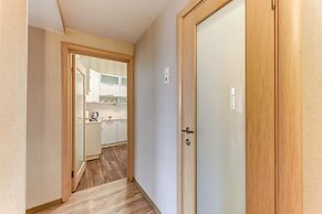 Spacious apartments Vesta on Ligovsky