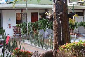 Arenal Poshpacker - Hostel