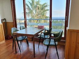 Seogwipo Livingstone Pension