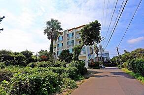 Seogwipo Livingstone Pension