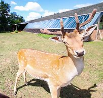Panorama Ferien Hotel Harz