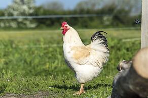 Fern Cottage - 1 Bedroom - Tiers Cross