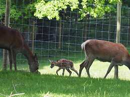 Pitlochry Stay-sleeps 3-central & Connected