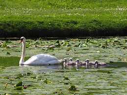 Pitlochry Stay-sleeps 3-central & Connected