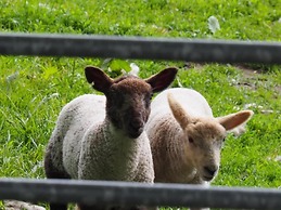 Pitlochry Stay-sleeps 3-central & Connected