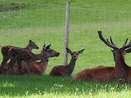 Pitlochry Stay-sleeps 3-central & Connected