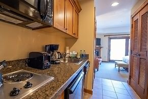 Comfortable Studio Efficiency Unit With Balcony Over Mountaineer Squar