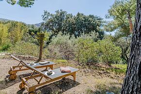 Domaine Maraspar Cassis