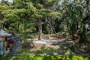 Domaine Maraspar Cassis